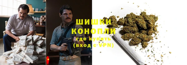 прущие грибы Алзамай