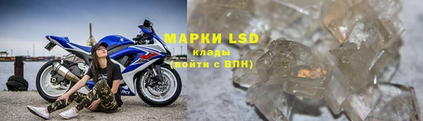 прущие грибы Алзамай