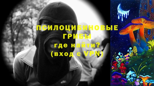 прущие грибы Алзамай