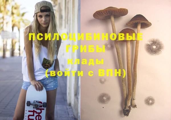 прущие грибы Алзамай
