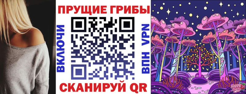 Галлюциногенные грибы Psilocybine cubensis  Невьянск 